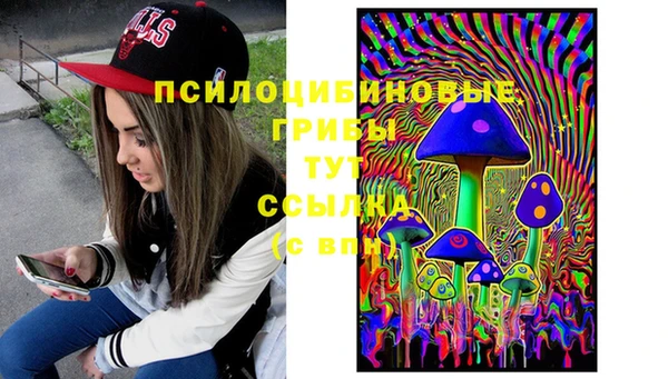экстази Белокуриха