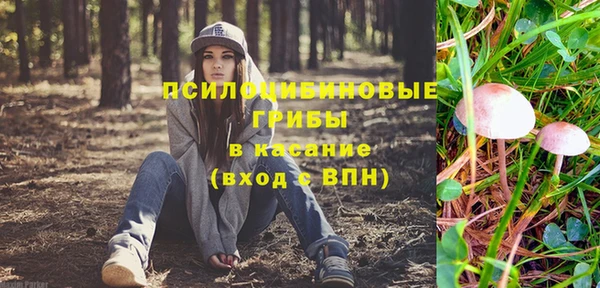экстази Белокуриха