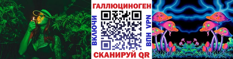 Галлюциногенные грибы GOLDEN TEACHER  где купить наркоту  Бородино 